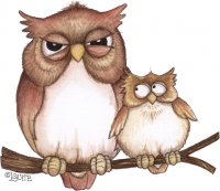 Owl Grumpy01.jpg