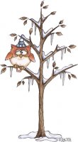 Winter Tree Owl.jpg