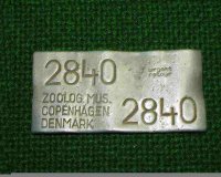 Copenhagen%25202840.jpg
