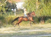 nelli2h10.jpg