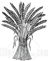 34594-Clipart-Illustration-Of-Wheat-Bound-By-Rope.jpg