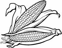 corn-5-coloring-page.gif.jpg