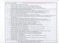 toise princesse 9.jpg