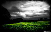 Barley_Field_by_l8.jpg