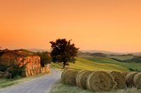 tuscan_countryside.jpg