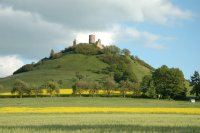 warburg-desenberg-gr.jpg