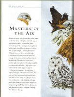 Masters of The Air 1.JPG