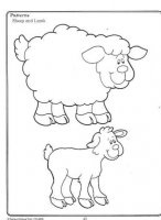 40 sheep lamb_thumb.jpg
