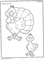 41 turkey & poult_thumb.jpg