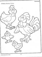 33 chicken rooster chicks_thumb.jpg