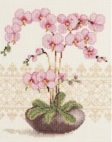 2002 75.351 Pink Orchid 18x23 cm.jpg