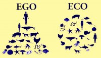 eco+ego.jpg