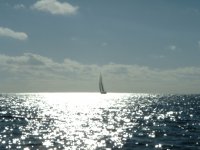 sailing2.jpg