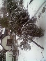 201303154499.jpg