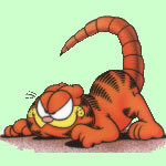 Garfield (11).jpg