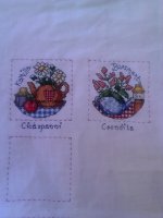 IMG_20130418_101752.jpg