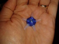 20130525_202137.jpg
