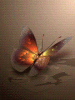Butterfly.GIF