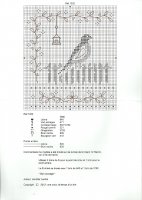 oiseaux une croix le temps d'un thé (2).jpg