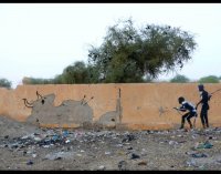 banksy-in-mali-africa-graffiti-stencil-art-buffalo1-800x630.jpg