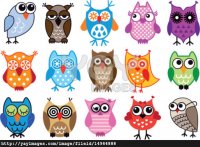 vector-owls-e45898.jpg