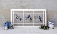 anteprima-BLUEbirds.jpg
