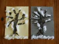 winter-tree-collage.gif