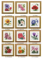 carolins garden1-12.jpg