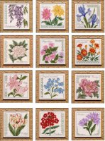 Floral elegance 211-222.jpg