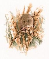 Harvest Mouse.jpg