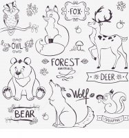 forest-animals-silhouette-illustration-set-cute-design-names-35566383.jpg