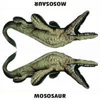 pf_dinosaurs_011.png
