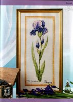 Botanical iris.jpg