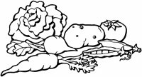 cabbage-1-coloring-page.jpg