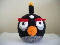 Black Bird.JPG