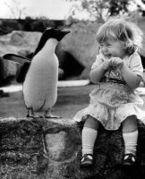 pingvin és....jpg