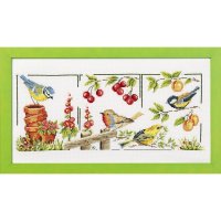 Marie Coeur Oiseaux de jardin.jpg