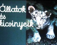 Állatok és kicsinyeik.jpg