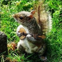 mókus gitározik.jpg