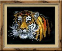 Quadro tigre1.jpg