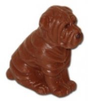 csoki kutya.jpg