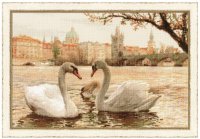 riolis - swans in prague.jpg