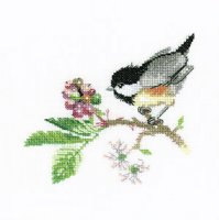 VPCB568 Chick Berry.jpg