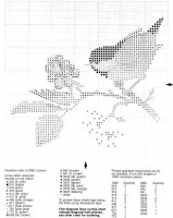 VPCB568 Chick Berry_chart01.jpg