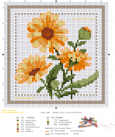 Flor-Mês-de-Outubro-Calendula.png