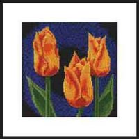 tulipán7.jpg
