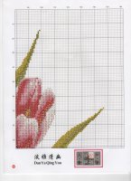 tulipán19.jpg