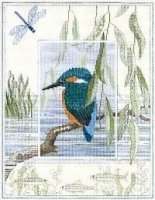Jégmadár- Kingfisher .jpg