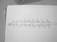 10639495_594098030718591_8621037995219399097_n.jpg