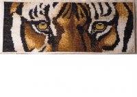 tiger eyes (image).JPG